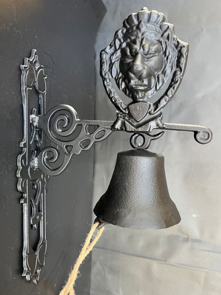 KAPI ÇANI ASLAN FORMUNDA