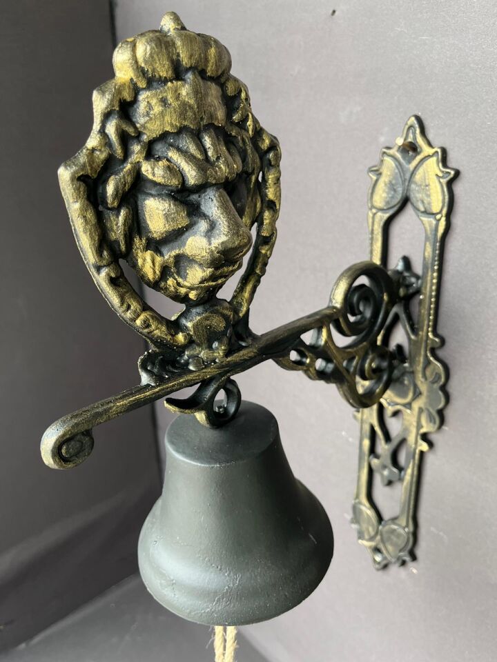 KAPI ÇANI ASLAN FORMUNDA