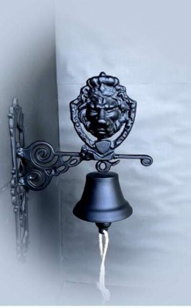 KAPI ÇANI ASLAN FORMUNDA