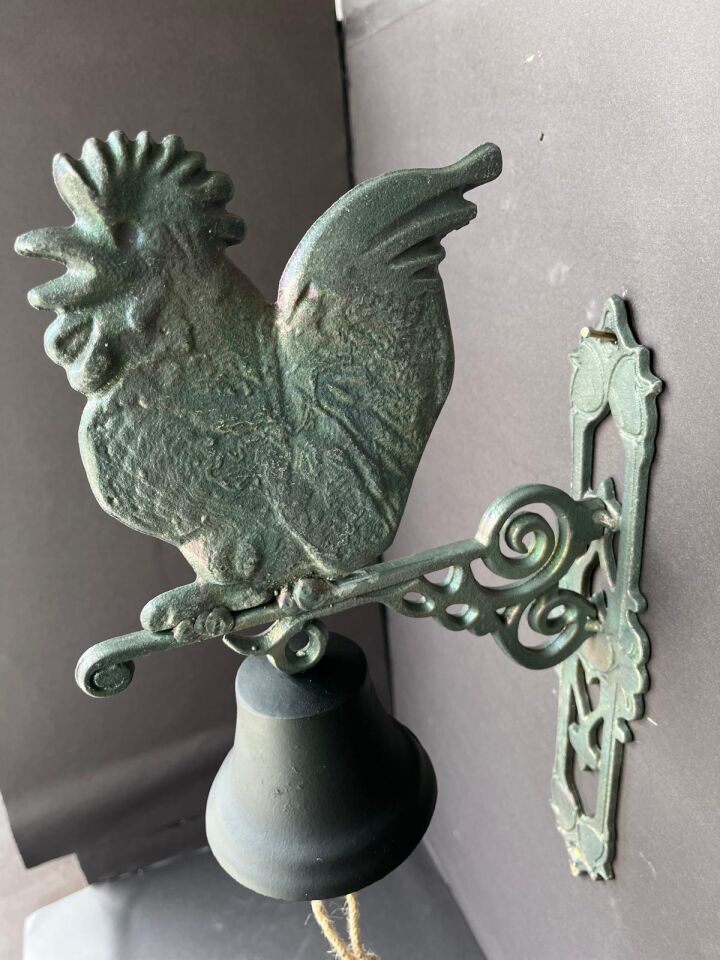 KAPI ÇANI HOROZ FORMUNDA